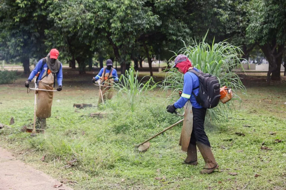 Prefeitura de Palmas realiza roçagem no Setor Sônia Regina e em diversos pontos da Capital