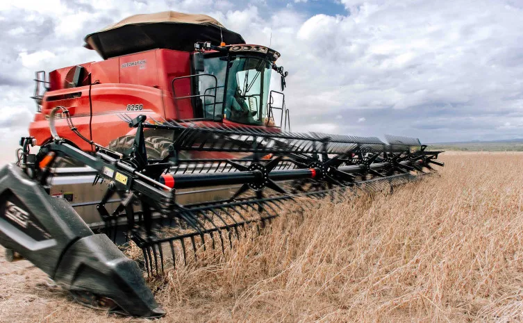 Foto: Keven Lopes/Governo do Tocantins