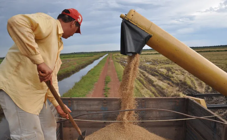 Foto: Juliano Ribeiro/Governo do Tocantins