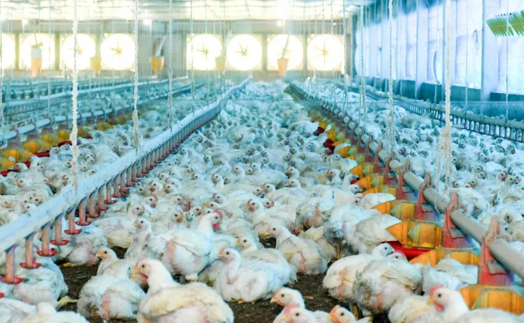  Foto: Keven Lopes/Governo do Tocantins